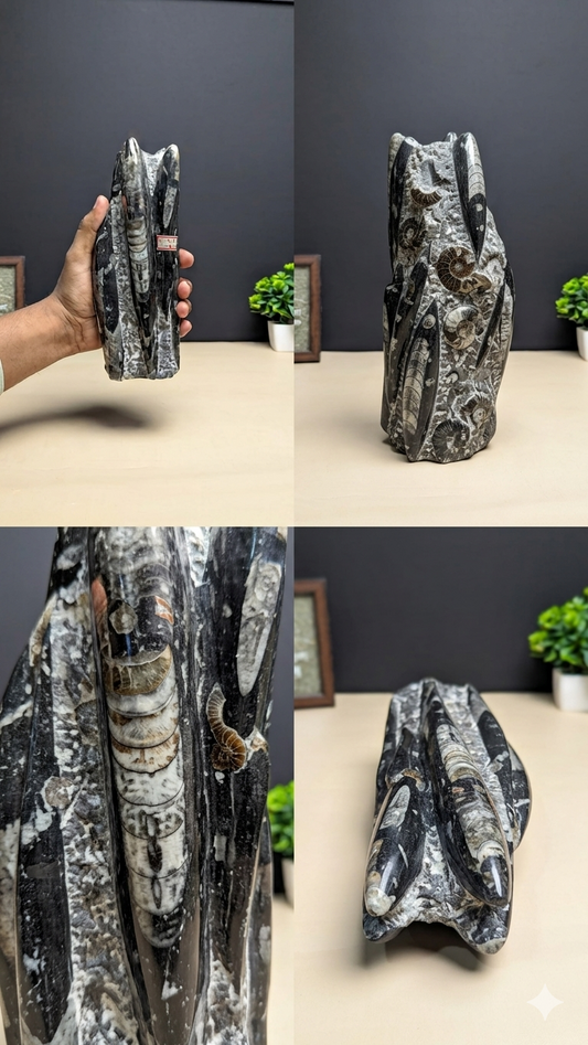 Kuber stone orthoceras wealth money magnet